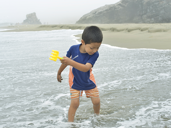 SERVICIO DE BUS ¡Vamos a la sede playa sur!