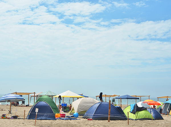 SERVICIO DE BUS ¡Vamos a la sede playa sur!